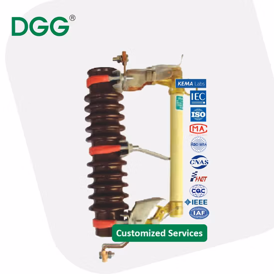 Rn-10 a Series of Indoor High-Voltage Curre Nt-Limiting Fuse 10kv