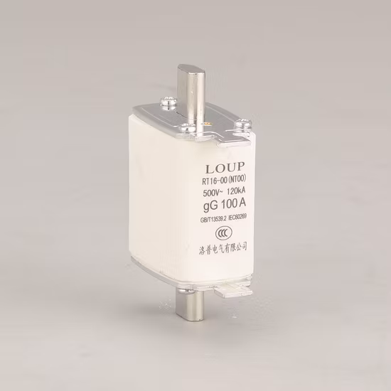 Nh00 저전압 160A HRC 퓨즈 베이스